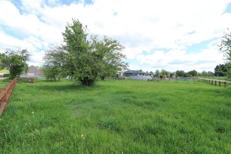 Photo of property in 10 Rimu Street, Pleasant Point, 7903