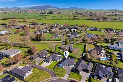 Photo of property in 19 Hinerangi Crescent, Matamata, 3400