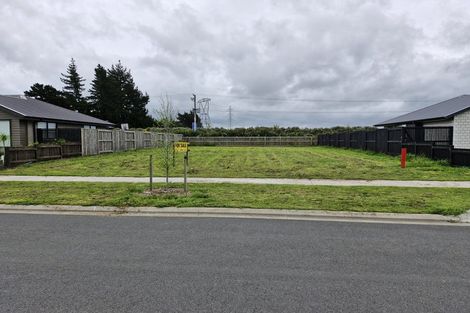 Photo of property in 19 Whakahaumako Road, Leamington, 3495