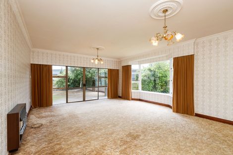 Photo of property in 316 Ruahine Street, Terrace End, Palmerston North, 4410