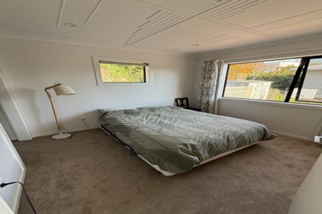 Photo of property in 17 Tyne Street, Roslyn, Dunedin, 9010