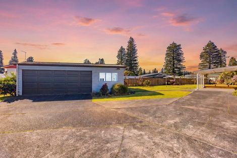 Photo of property in 31 Hall Crescent, Taumarunui, 3920