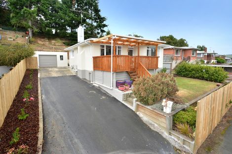 Photo of property in 503 Kaikorai Valley Road, Bradford, Dunedin, 9011