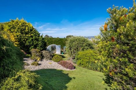 Photo of property in 115 Belford Street, Waverley, Dunedin, 9013