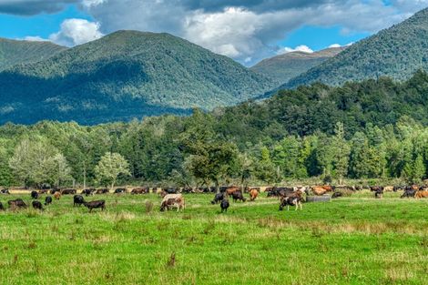 Photo of property in 1297 Haupiri Road, Haupiri, Dobson, 7872