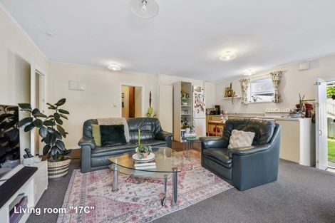Photo of property in 17 Tavistock Road, Melrose, Wellington, 6023