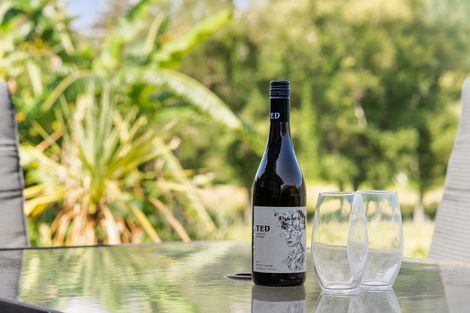 Photo of property in 113 Seabreeze Lane, Whangamata, 3620