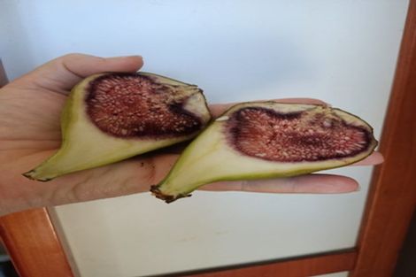 Photo of property in 44a Waverley Avenue, Glenfield, Auckland, 0629