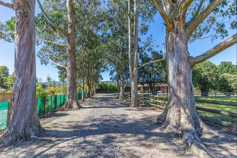 Photo of property in 523 Arapaepae Road, Ohau, Levin, 5570