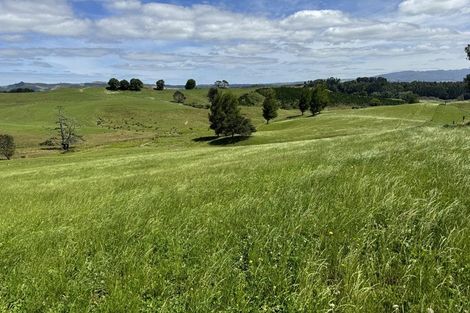 Photo of property in 829 Honikiwi Road, Honikiwi, Otorohanga, 3973