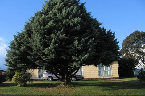 Photo of property in 14 Stanley Street, Flaxmere, Hastings, 4120