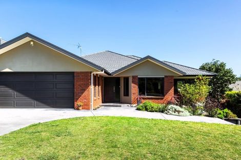 Photo of property in 223 Heta Road, Merrilands, New Plymouth, 4312