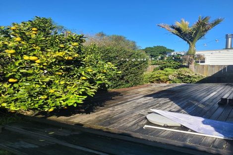 Photo of property in 4 Wellpark Avenue, Grey Lynn, Auckland, 1021