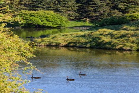 Photo of property in 34 Manu Drive, Kaiwaka, 0573