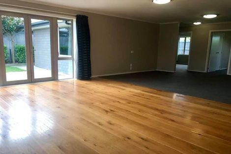 Photo of property in 22 Larne Place, Belfast, Christchurch, 8051