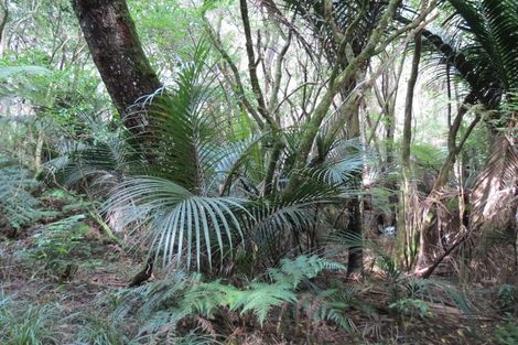 Photo of property in 1026 Manaia Road, Manaia, Coromandel, 3581