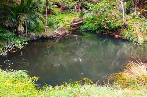 Photo of property in 153 Champion Road, Kaingaroa, Kaitaia, 0482