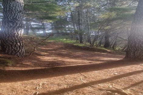 Photo of property in 2877 State Highway 30, Rotoma, Whakatane, 3192