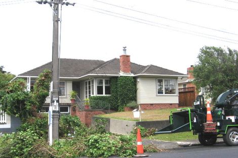 Photo of property in 6 Oakdale Road, Mount Roskill, Auckland, 1041