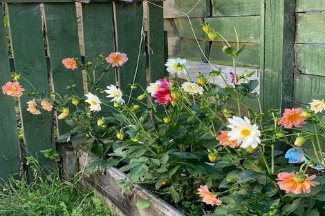 Photo of property in 3/46 Ngatoto Street, Ngaio, Wellington, 6035