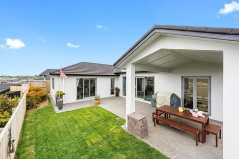 Photo of property in 9 Santiago Place, Flagstaff, Hamilton, 3210