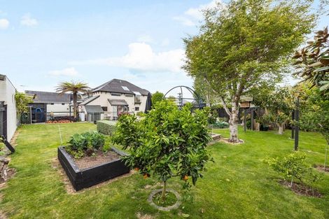 Photo of property in 74a Thornton Road, Cambridge, 3434