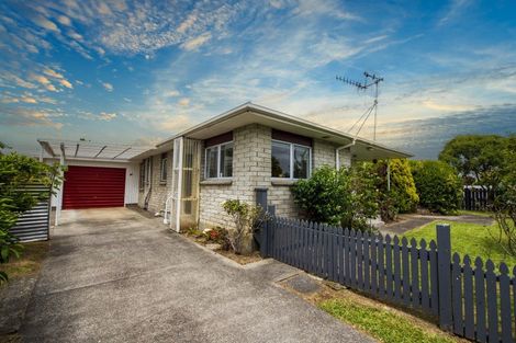 Photo of property in 8 Baden Street, Levin, 5510