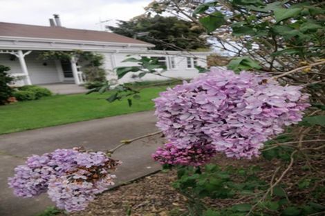 Photo of property in 165 Cambridge Street, Levin, 5510