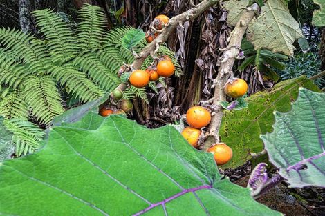 Photo of property in 304 Mangakahia Road, Maungatapere, Whangarei, 0179