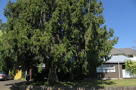 Photo of property in 1 Wychwood Crescent, Springfield, Rotorua, 3015