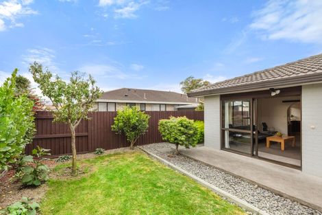 Photo of property in 1/49 Trevor Street, Hornby, Christchurch, 8042