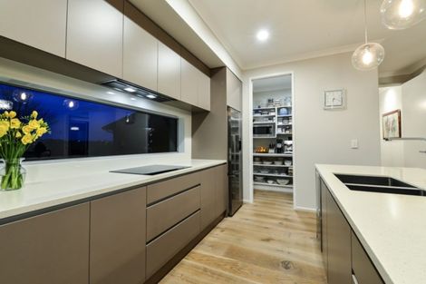 Photo of property in 49 Meadowfield Street, Flagstaff, Hamilton, 3210