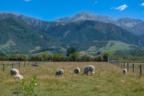 Photo of property in 7 Skevingtons Road, Hapuku, Kaikoura, 7371