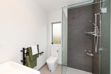 Photo of property in 94a Maxwells Line, Awapuni, Palmerston North, 4412