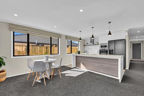 Photo of property in 20 Drayton Street, Richmond, 7020