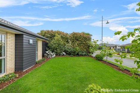 Photo of property in 9 Turvey Street, Pegasus, 7612