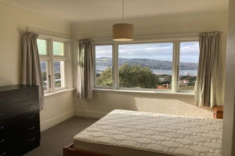 Photo of property in 34 Tweed Street, Roslyn, Dunedin, 9010