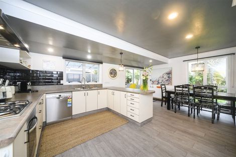 Photo of property in 2 Belmont Place, Terrace End, Palmerston North, 4410