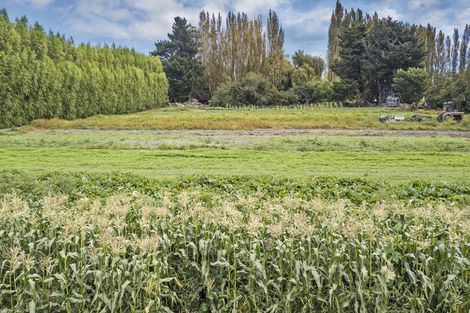 Photo of property in 691 Marshland Road, Ouruhia, Christchurch, 8083