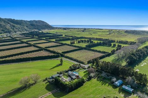 Photo of property in 112 Burt Road, Matata, Whakatane, 3194