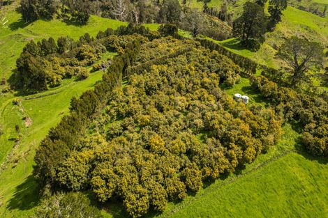 Photo of property in 231 Walford Road, Aongatete, Katikati, 3181
