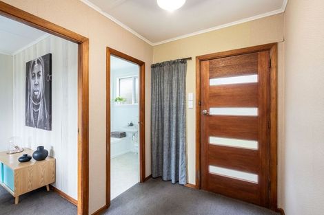 Photo of property in 30 Panmure Avenue, Calton Hill, Dunedin, 9012