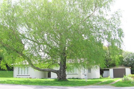 Photo of property in 19 Pine Street, Mangapapa, Gisborne, 4010