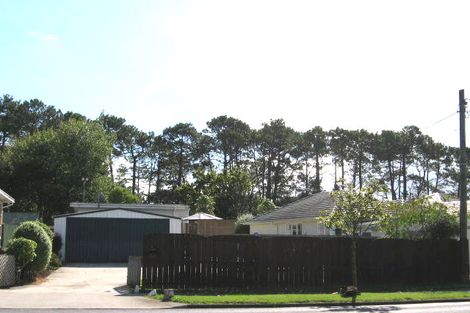 Photo of property in 153b Portage Road, New Lynn, Auckland, 0600