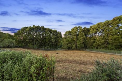 Photo of property in 91 Bagust Road, Rotokauri, Hamilton, 3289