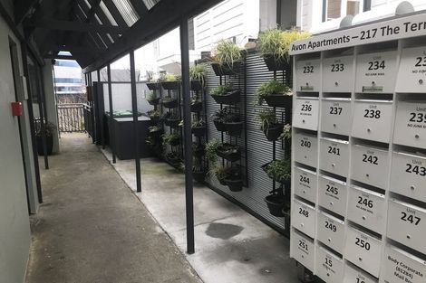 Photo of property in Avon Flats, 11/217 The Terrace, Wellington Central, Wellington, 6011