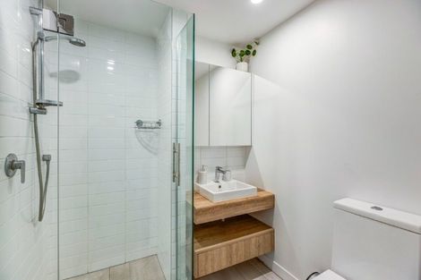 Photo of property in Pinnacle Apartments, W201/160 Victoria Street, Te Aro, Wellington, 6011