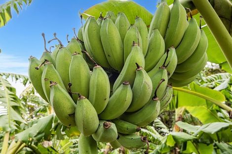 Photo of property in 304 Mangakahia Road, Maungatapere, Whangarei, 0179