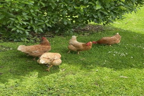 Photo of property in 1/74 Gillespies Road, Birchville, Upper Hutt, 5018