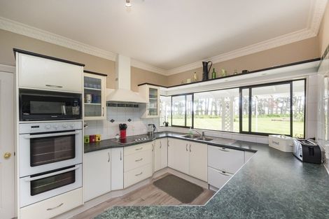 Photo of property in 273 Reid Line East, Aorangi, Feilding, 4775